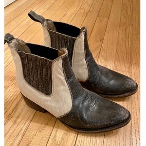 Freebird by Steven Bootie